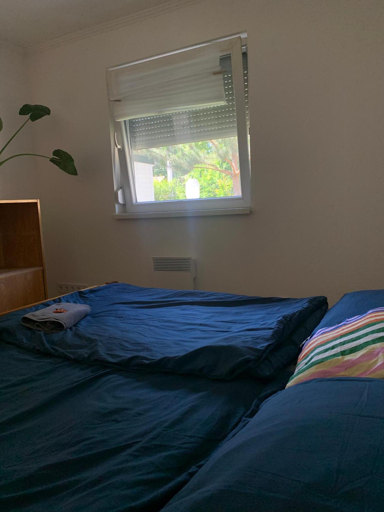 Marika Vendeghaz Villa Szigetmonostor Bagian luar foto